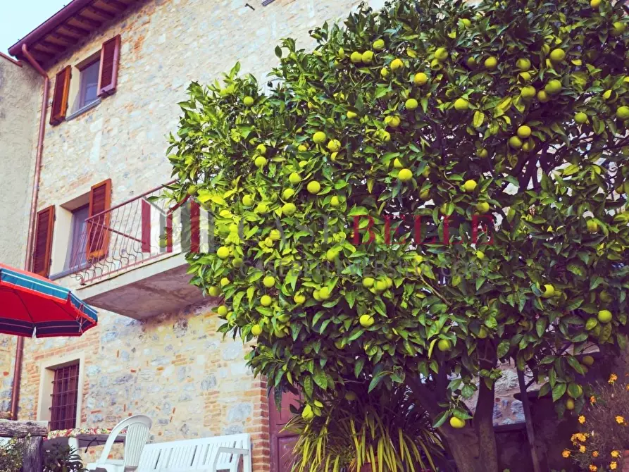 Immagine 3 di Terratetto in vendita  a Camaiore