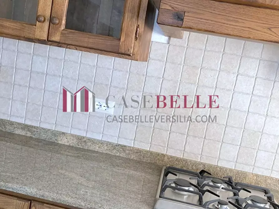 Immagine 22 di Terratetto in vendita  a Camaiore