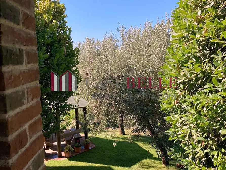 Immagine 25 di Terratetto in vendita  a Camaiore