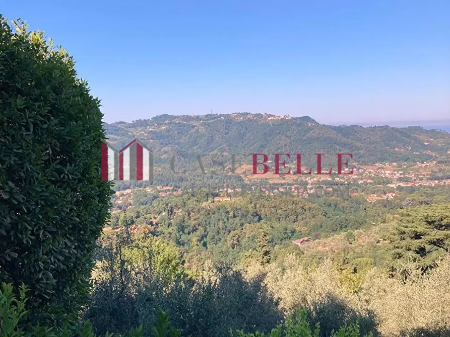 Immagine 24 di Terratetto in vendita  a Camaiore