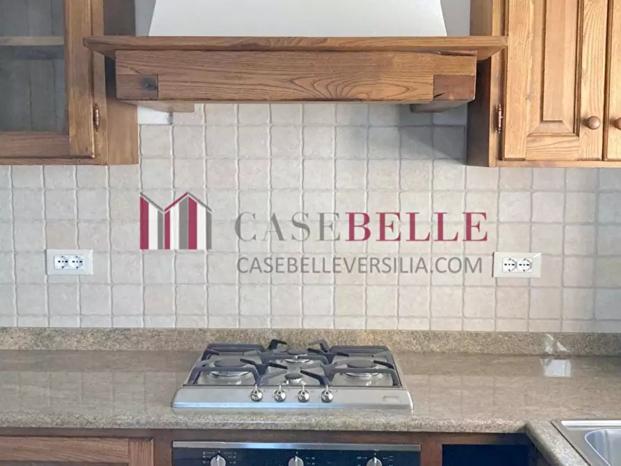 Immagine 9 di Terratetto in vendita  a Camaiore