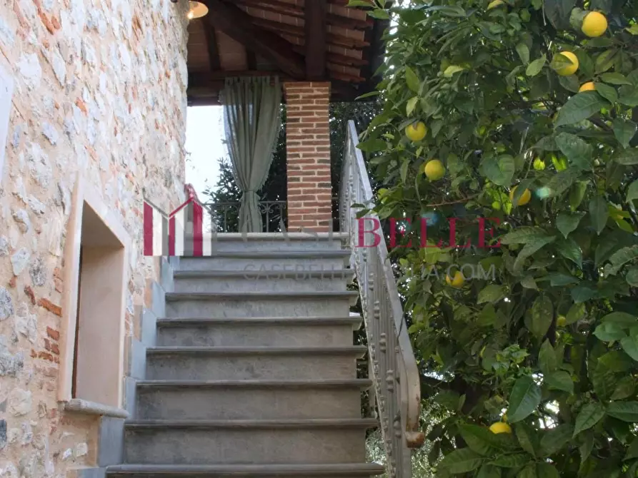 Immagine 2 di Terratetto in vendita  a Camaiore