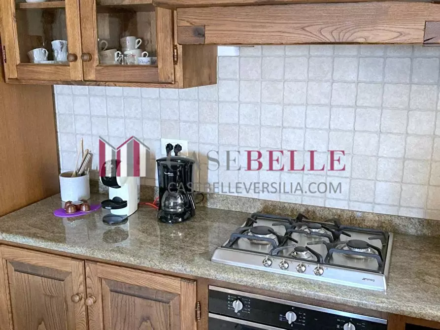 Immagine 8 di Terratetto in vendita  a Camaiore