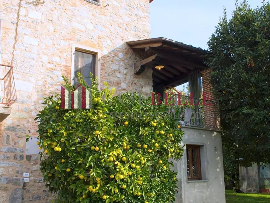 Immagine 1 di Terratetto in vendita  a Camaiore