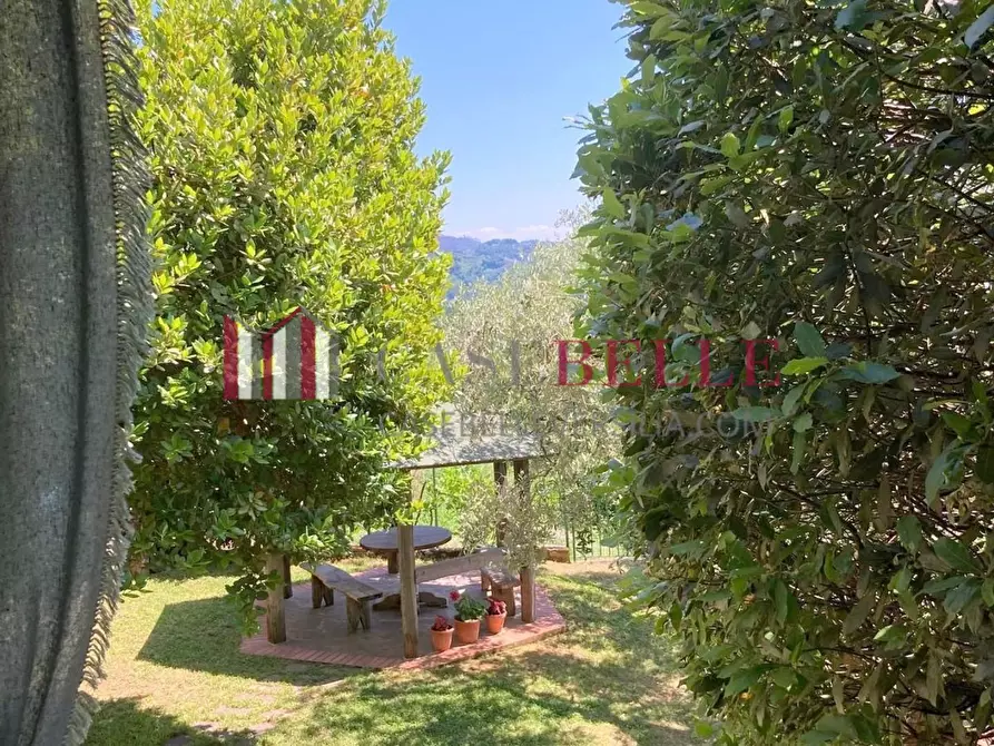 Immagine 37 di Terratetto in vendita  a Camaiore