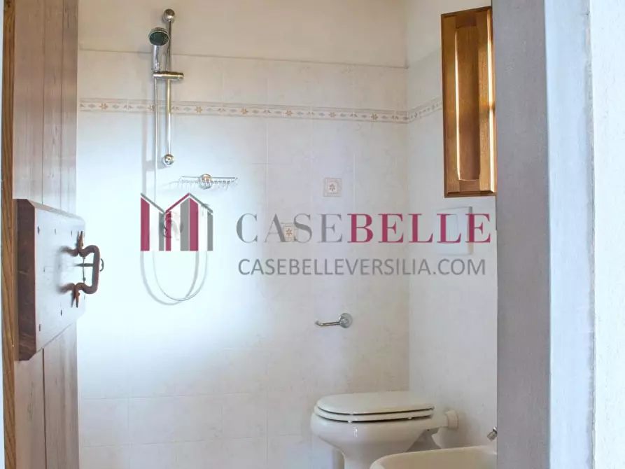 Immagine 19 di Terratetto in vendita  a Camaiore