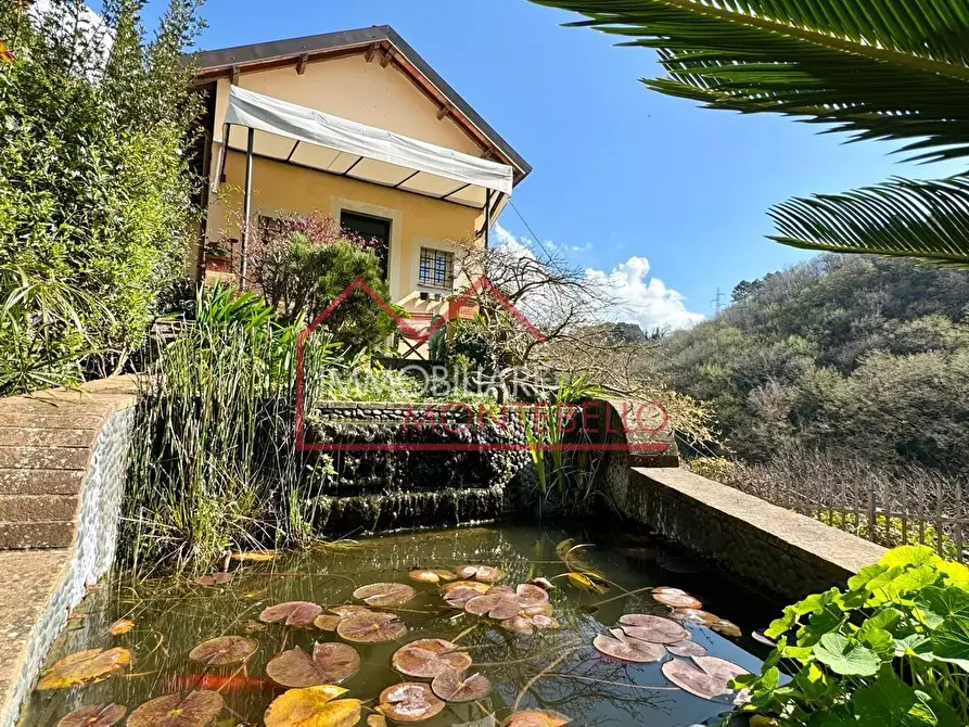 Immagine 1 di Terratetto in vendita  a Camaiore