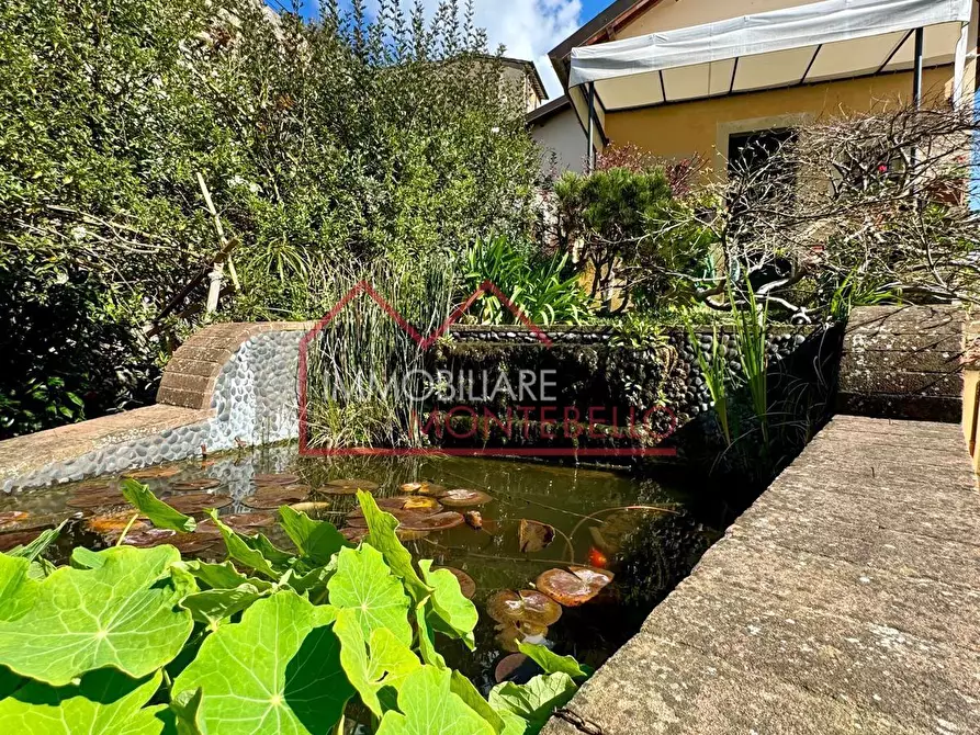 Immagine 22 di Terratetto in vendita  a Camaiore