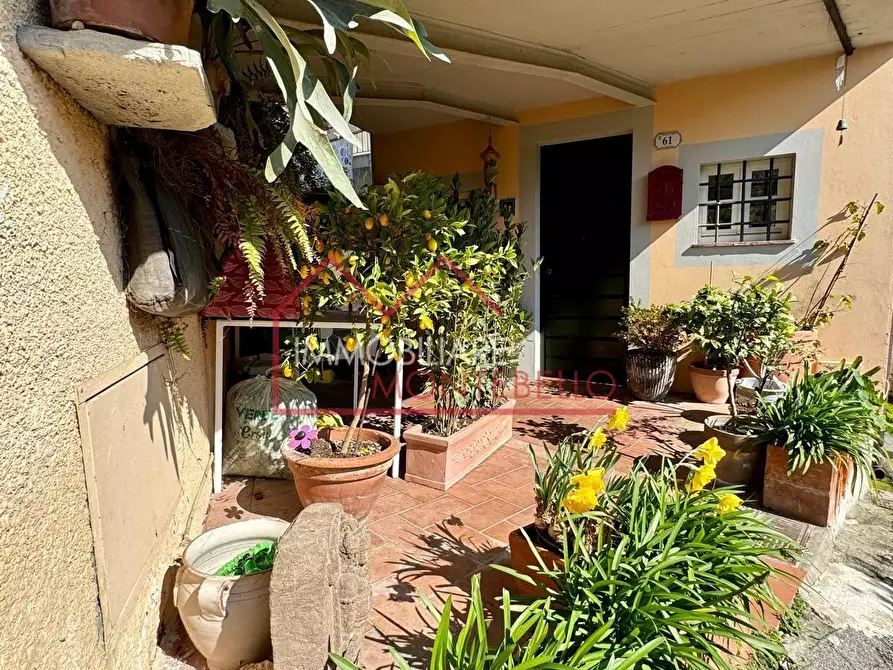 Immagine 7 di Terratetto in vendita  a Camaiore