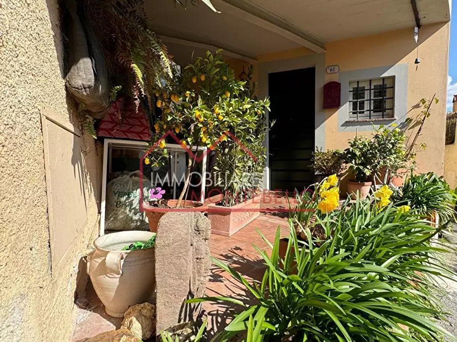 Immagine 21 di Terratetto in vendita  a Camaiore