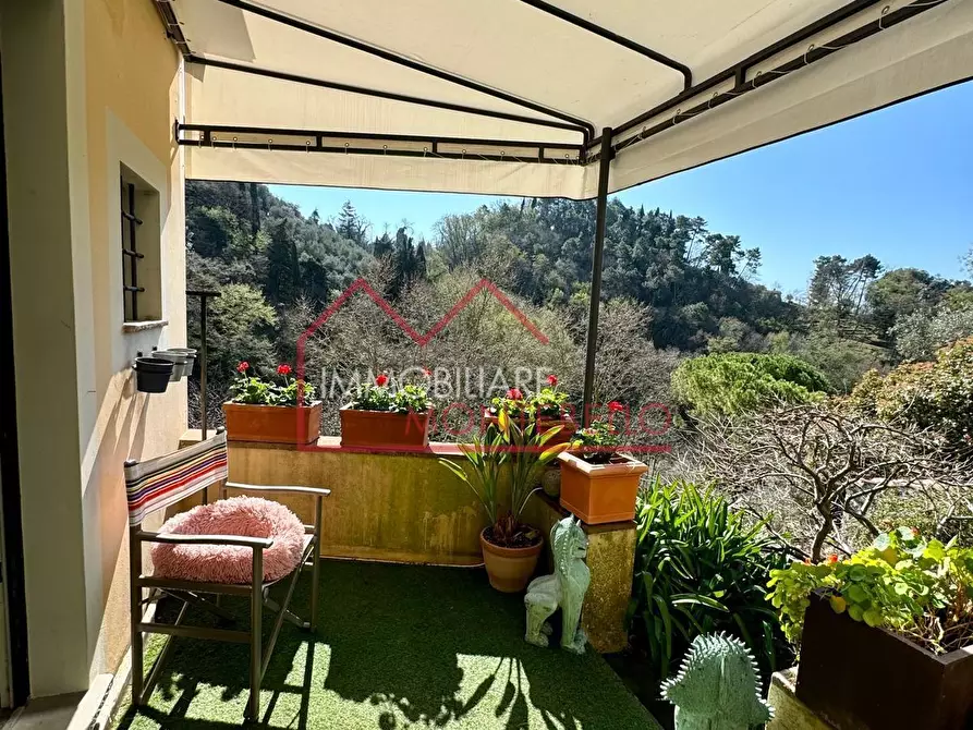 Immagine 6 di Terratetto in vendita  a Camaiore