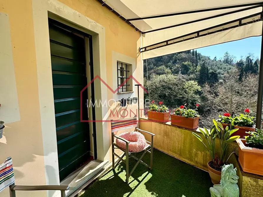 Immagine 4 di Terratetto in vendita  a Camaiore