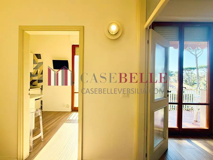 Immagine 4 di Appartamento in vendita  a Camaiore