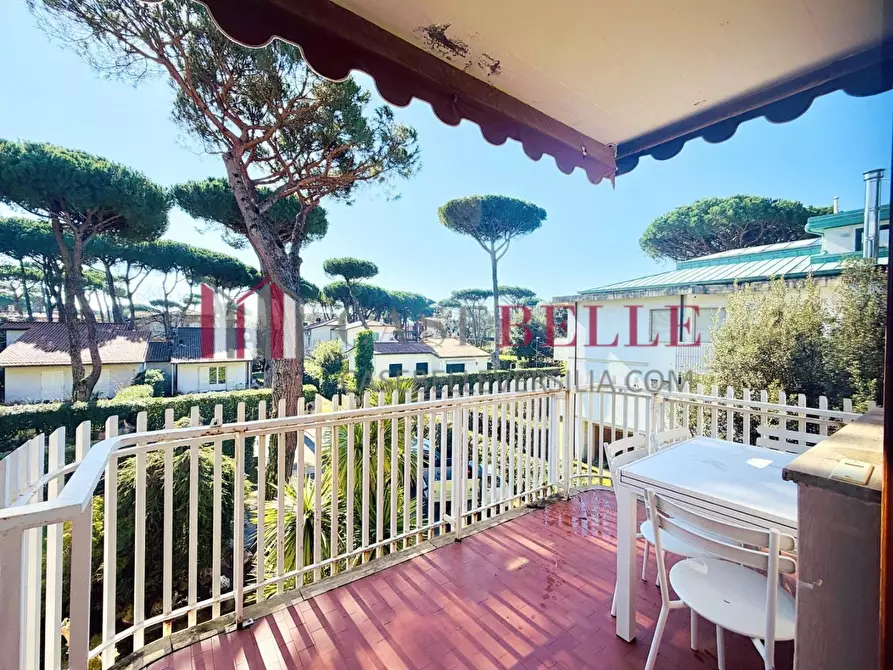 Immagine 21 di Appartamento in vendita  a Camaiore