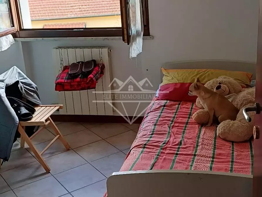 Immagine 11 di Appartamento in vendita  a Carrara
