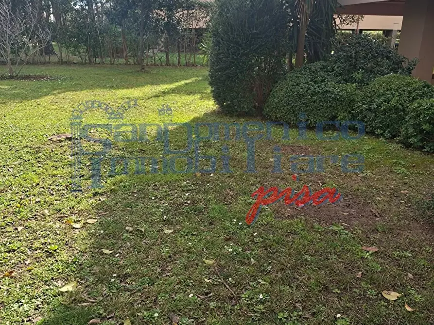 Immagine 4 di Appartamento in vendita  a Pisa