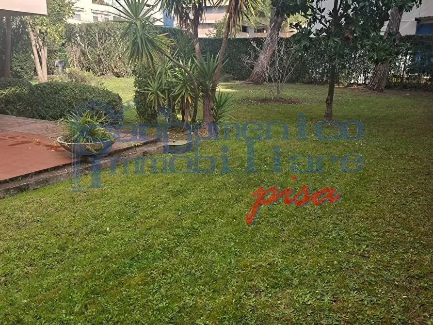 Immagine 2 di Appartamento in vendita  a Pisa