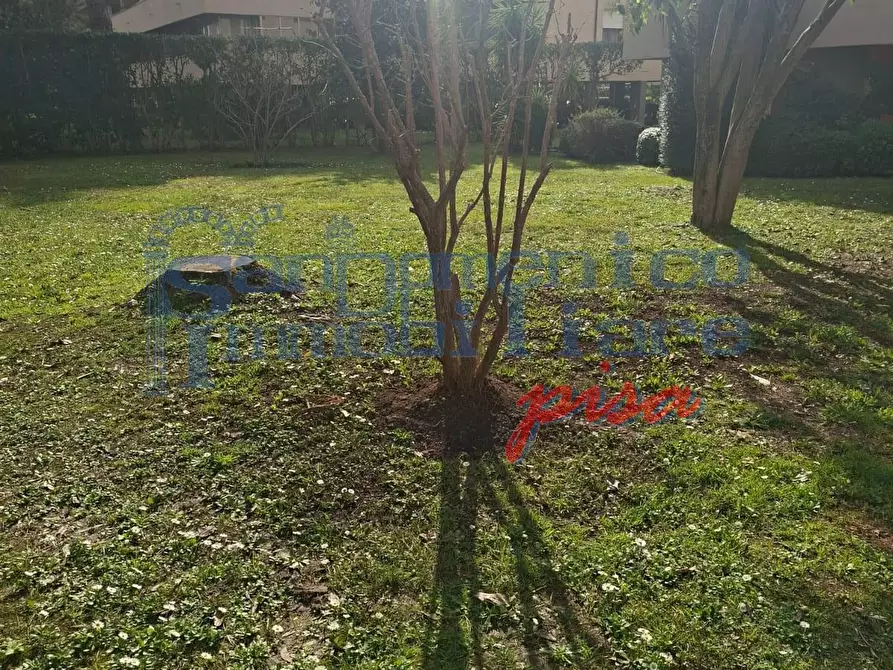 Immagine 5 di Appartamento in vendita  a Pisa