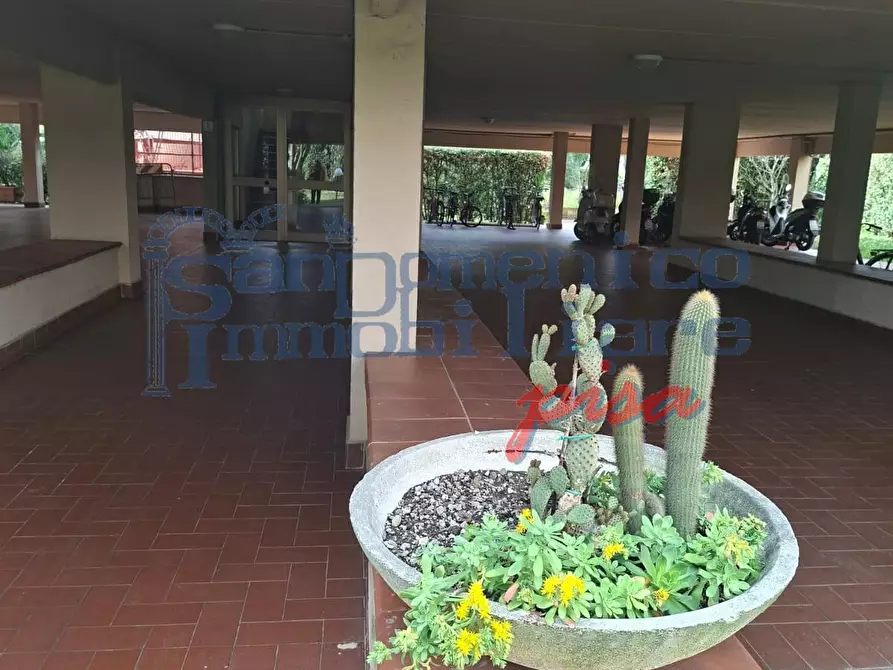 Immagine 3 di Appartamento in vendita  a Pisa