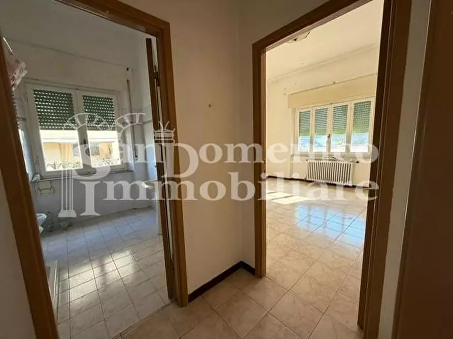 Immagine 10 di Villa in vendita  a Vecchiano