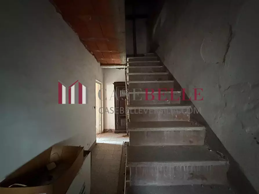 Immagine 12 di Terratetto in vendita  a Camaiore