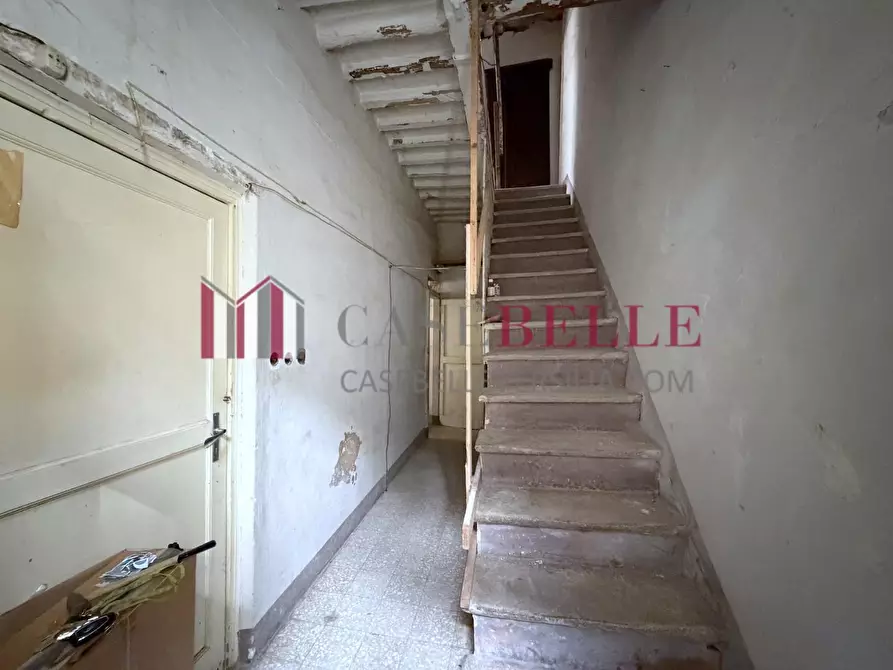 Immagine 1 di Terratetto in vendita  a Camaiore