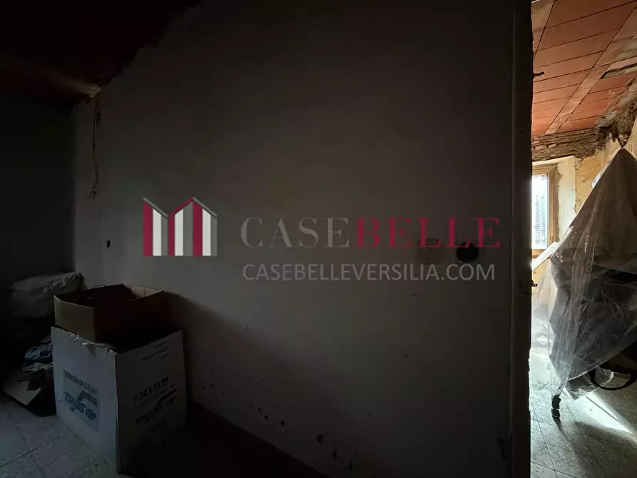 Immagine 8 di Terratetto in vendita  a Camaiore