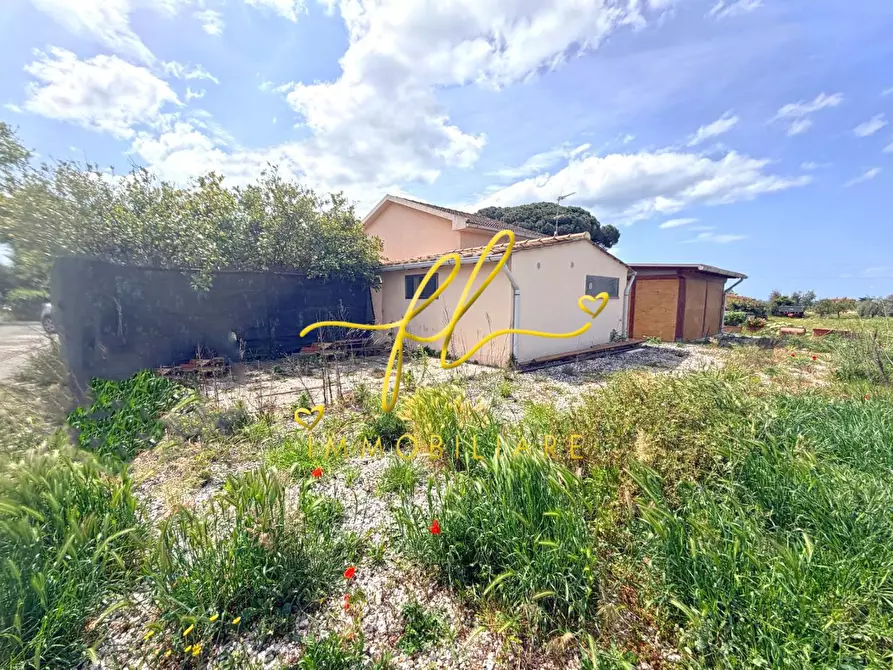 Immagine 9 di Casa indipendente in vendita  a Cecina