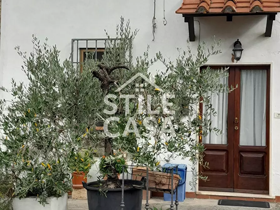 Immagine 24 di Terratetto in vendita  a Altopascio