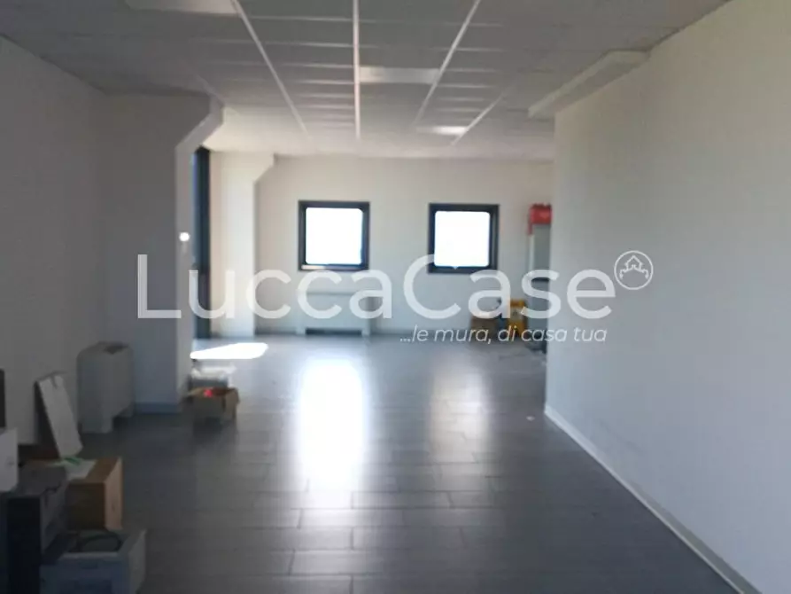 Immagine 1 di Ufficio in affitto  a Pisa