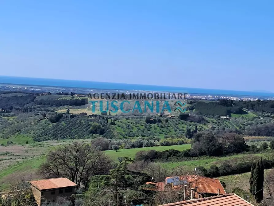 Immagine 32 di Appartamento in vendita  a Casale Marittimo