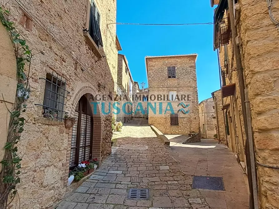 Immagine 2 di Appartamento in vendita  a Casale Marittimo