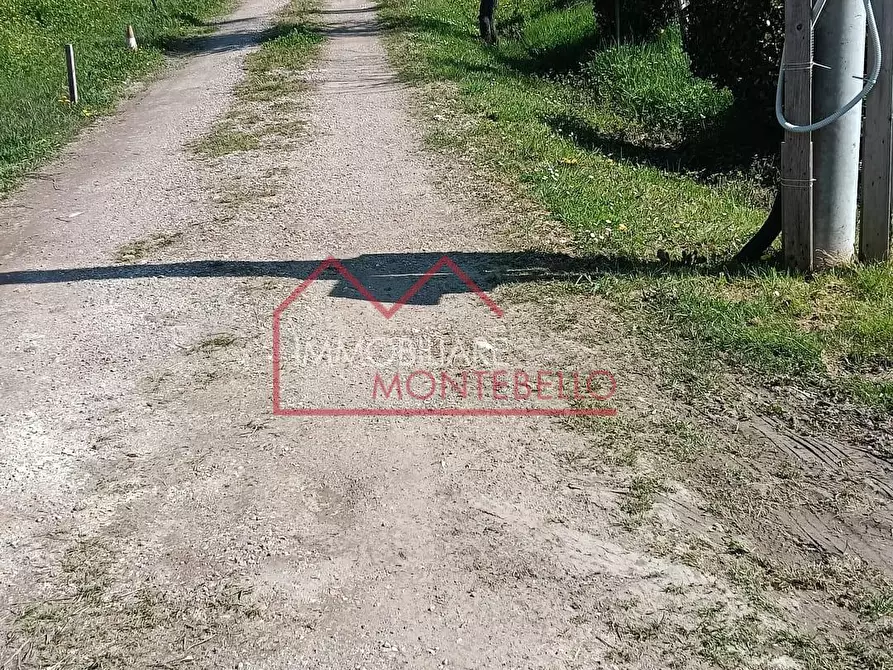 Immagine 25 di Casa colonica in vendita  a Massarosa