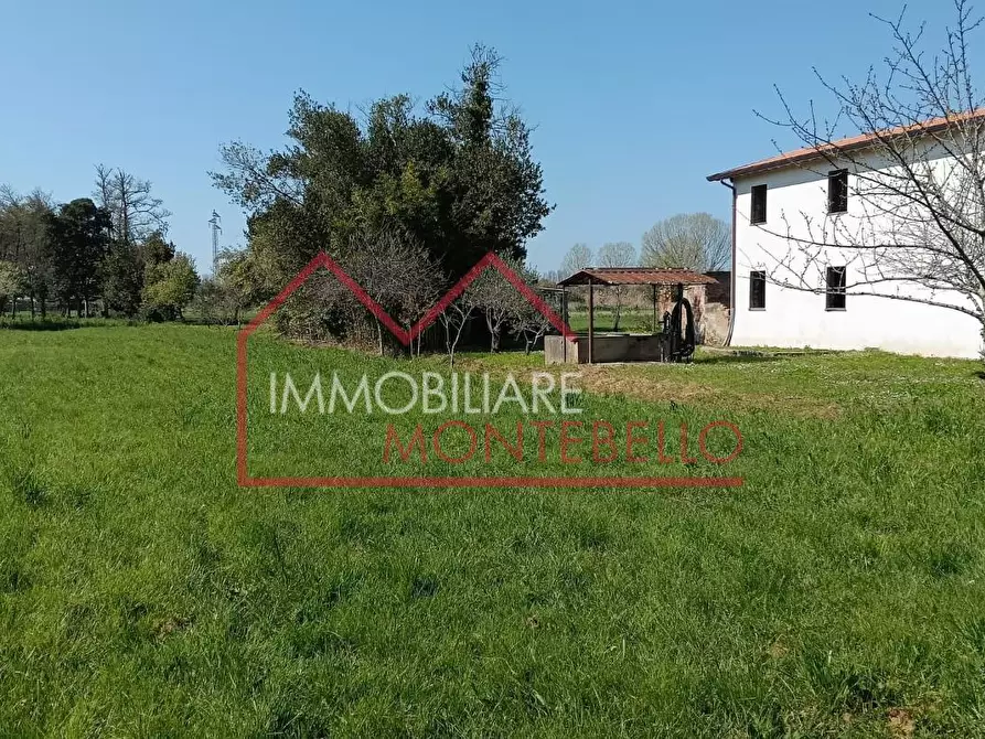 Immagine 2 di Casa colonica in vendita  a Massarosa