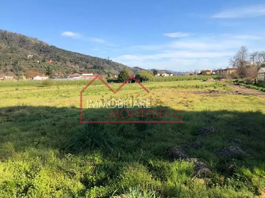 Immagine 7 di Casa colonica in vendita  a Massarosa