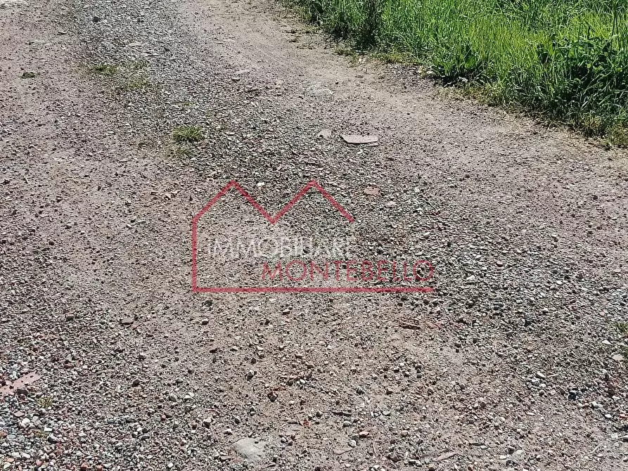 Immagine 26 di Casa colonica in vendita  a Massarosa