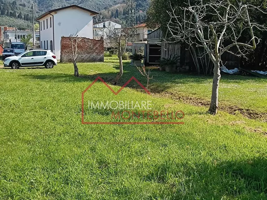 Immagine 9 di Casa colonica in vendita  a Massarosa