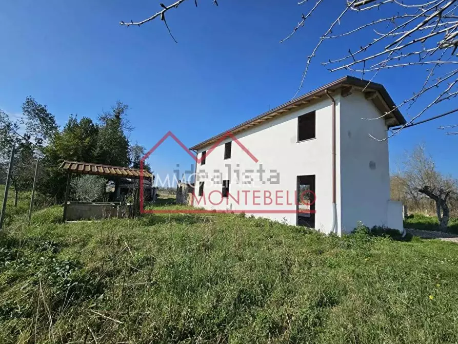 Immagine 15 di Casa colonica in vendita  a Massarosa