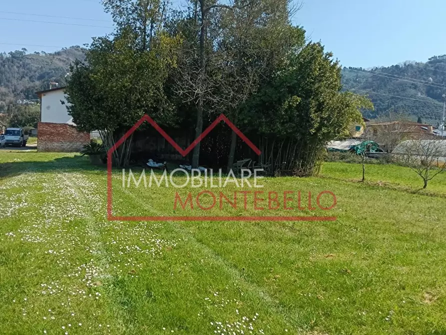 Immagine 14 di Casa colonica in vendita  a Massarosa