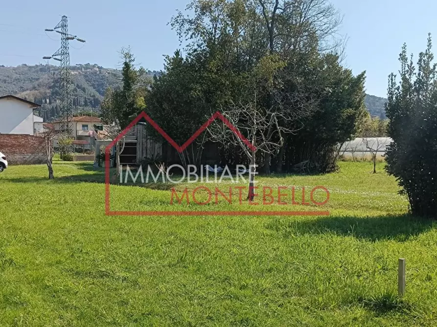 Immagine 10 di Casa colonica in vendita  a Massarosa