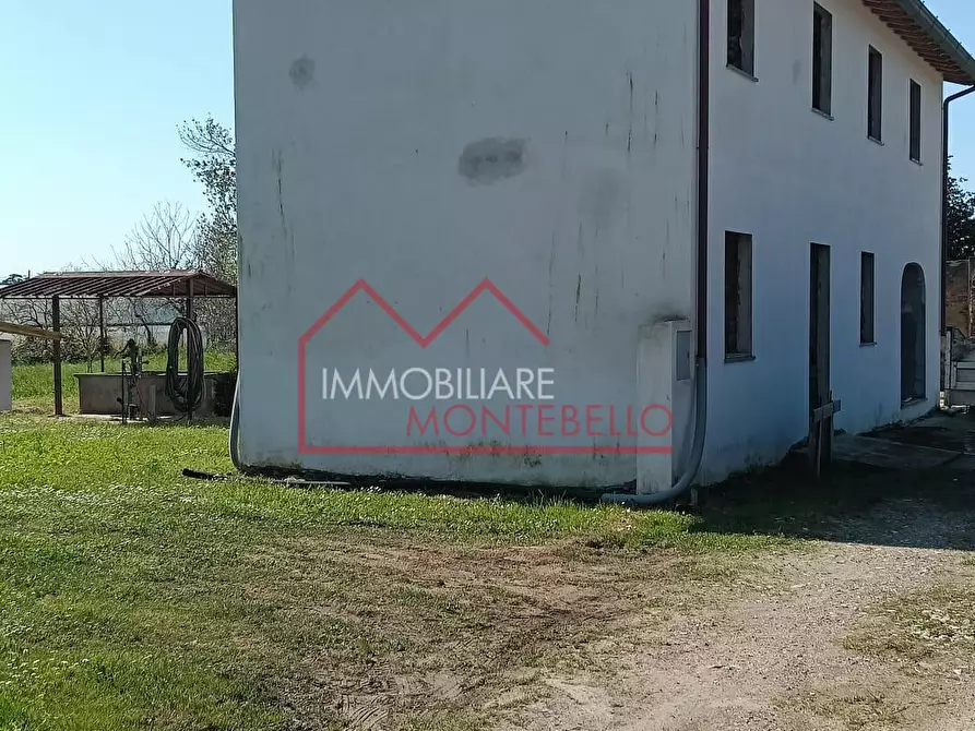 Immagine 11 di Casa colonica in vendita  a Massarosa