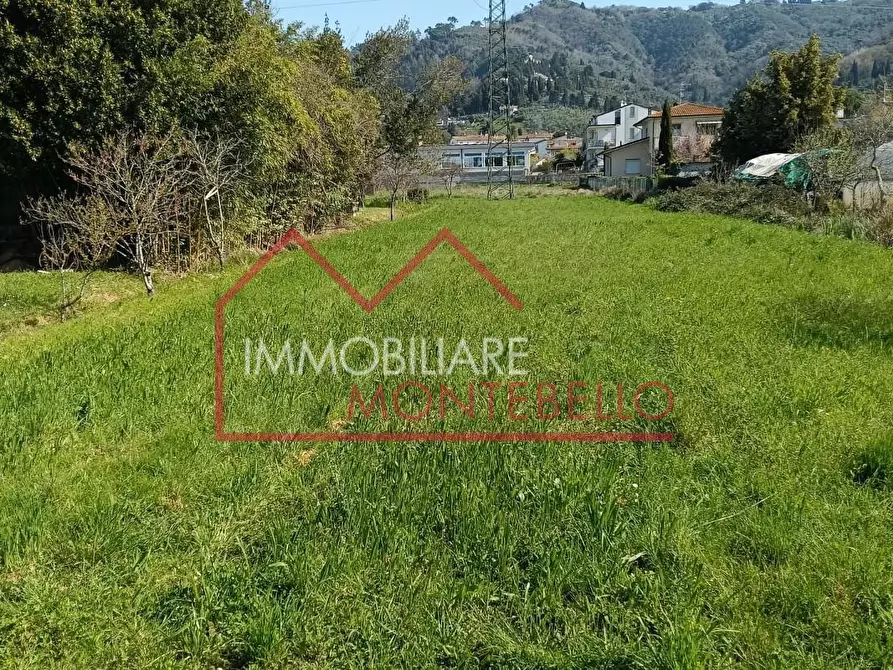 Immagine 13 di Casa colonica in vendita  a Massarosa