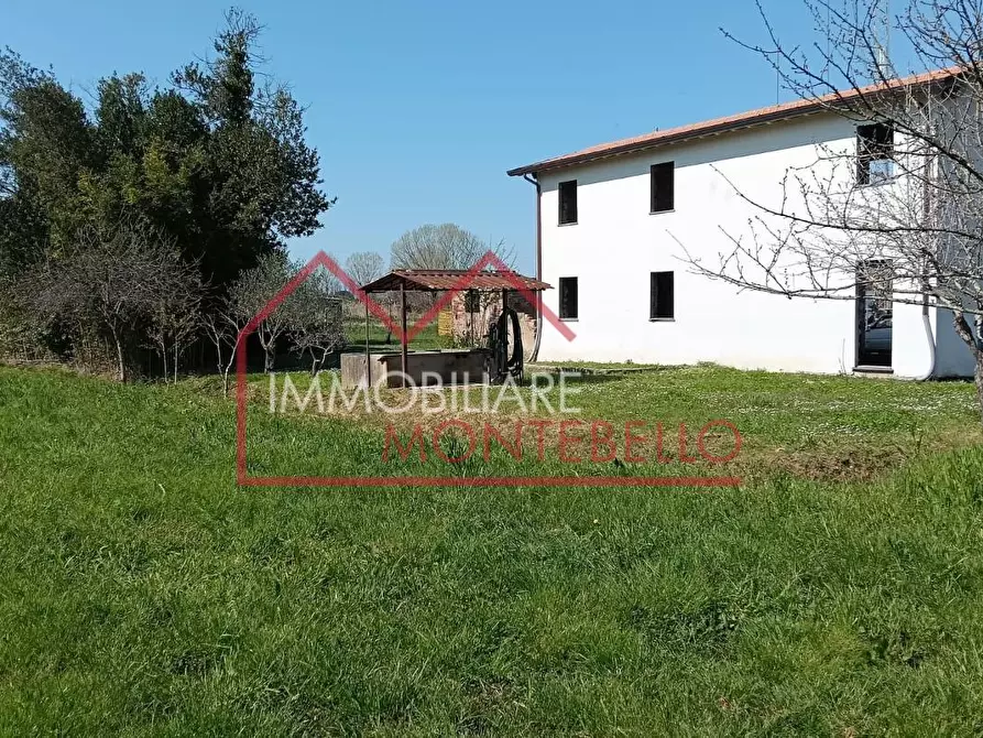 Immagine 3 di Casa colonica in vendita  a Massarosa