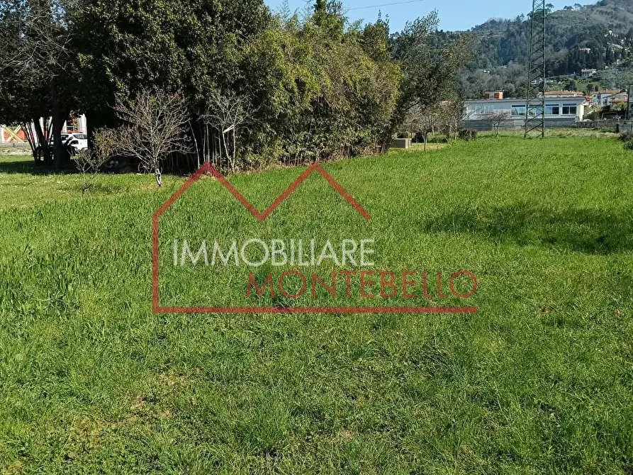 Immagine 6 di Casa colonica in vendita  a Massarosa