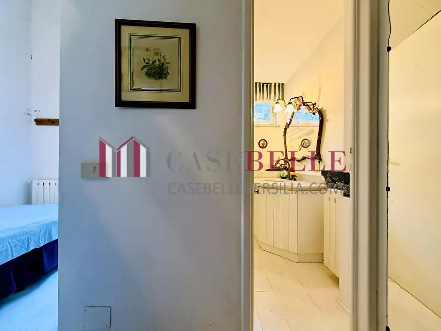 Immagine 24 di Casa semindipendente in affitto  a Pietrasanta