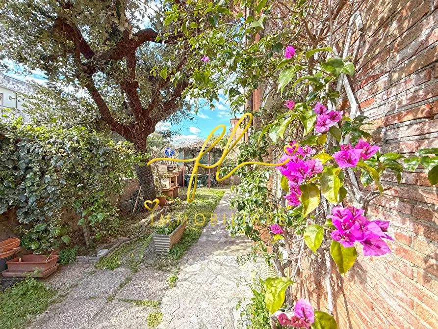 Immagine 50 di Appartamento in vendita  a Rosignano Marittimo