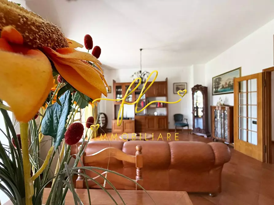 Immagine 11 di Appartamento in vendita  a Rosignano Marittimo