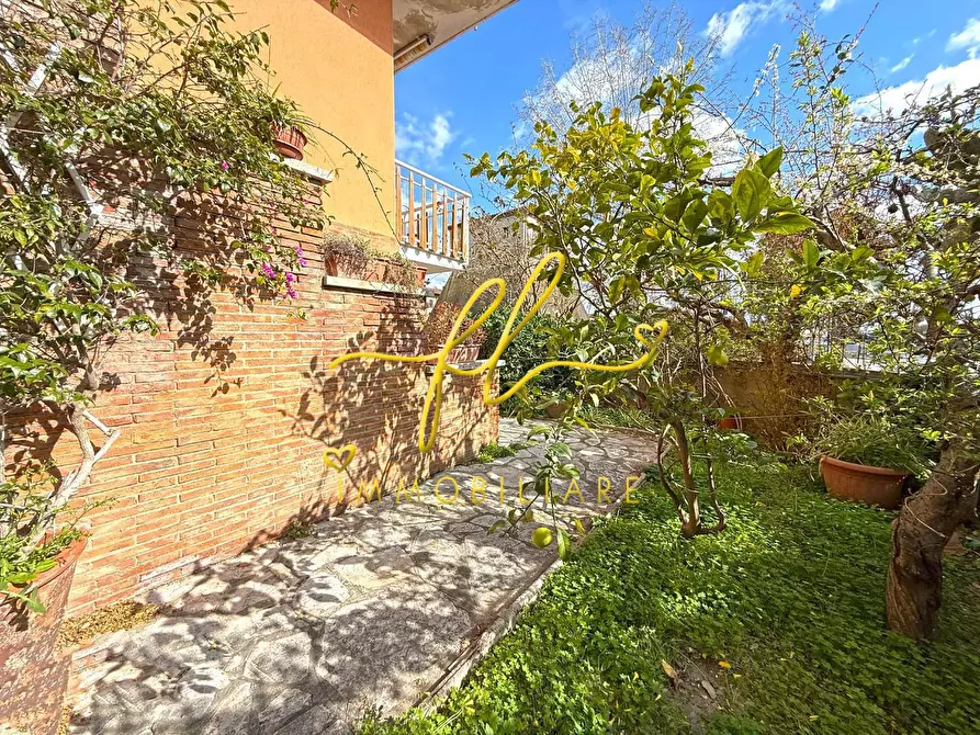 Immagine 36 di Appartamento in vendita  a Rosignano Marittimo