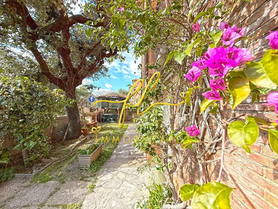 Immagine 48 di Appartamento in vendita  a Rosignano Marittimo