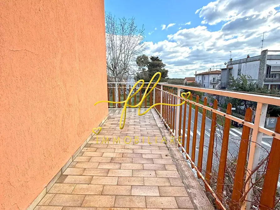 Immagine 51 di Appartamento in vendita  a Rosignano Marittimo